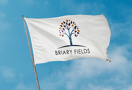 Logo, design, Briary Fields, Margate, kent, uk