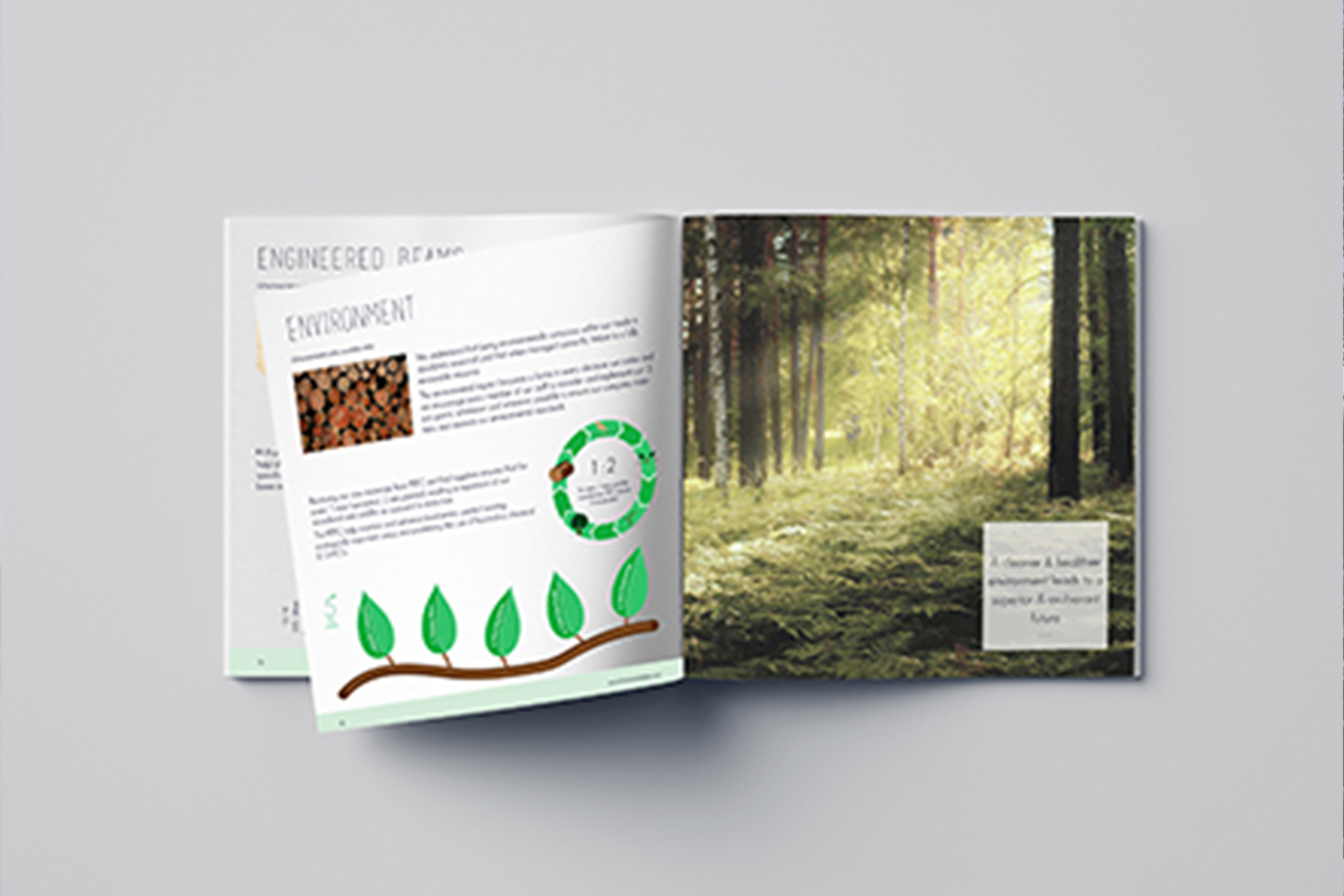 Harmony Timber Solutions, Brochure, design, canterbury, kent, uk, graphic design, marketing, branding