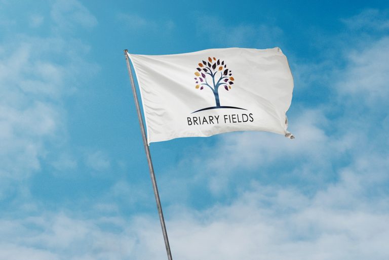 Logo Design - Briary